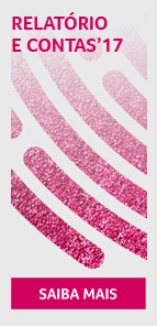 Relatório e Contas 2017