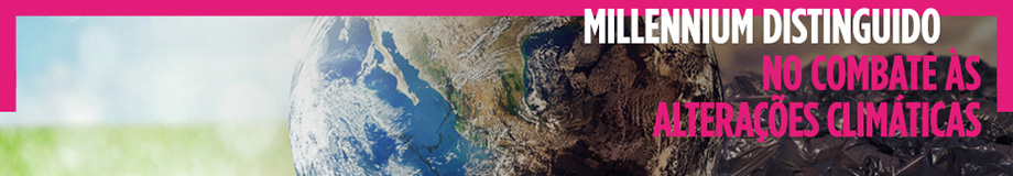 Millennium distinguido no combate às alterações climáticas