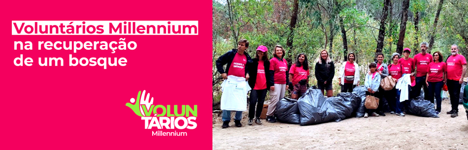 Grupo de volutários do Miellennium bcp