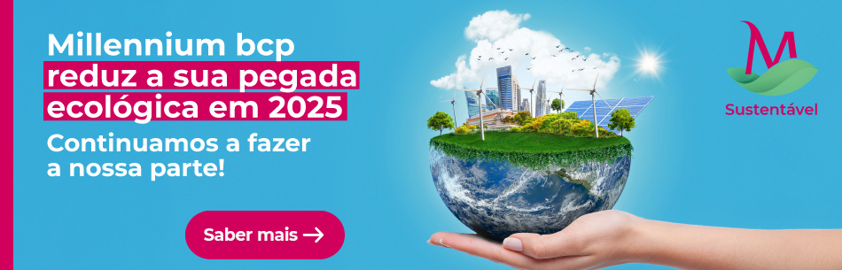 Ano Internacional do Voluntariado para o Desenvolvimento Sustentável