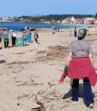 Corporate Volunteering: Beach Cleanup Reinforces Environmental Commitment