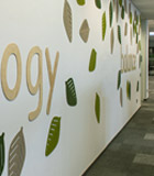 Climate Leaders Poland 2021