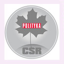 POLITYKA CSR Silver Leaf 2015...