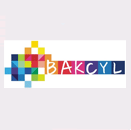 BAKCYL: Balanço do ano letivo 2014/2015...