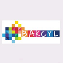 Voluntários do Bank Millennium PL...