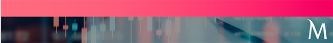 Barra do fim da Newsletter