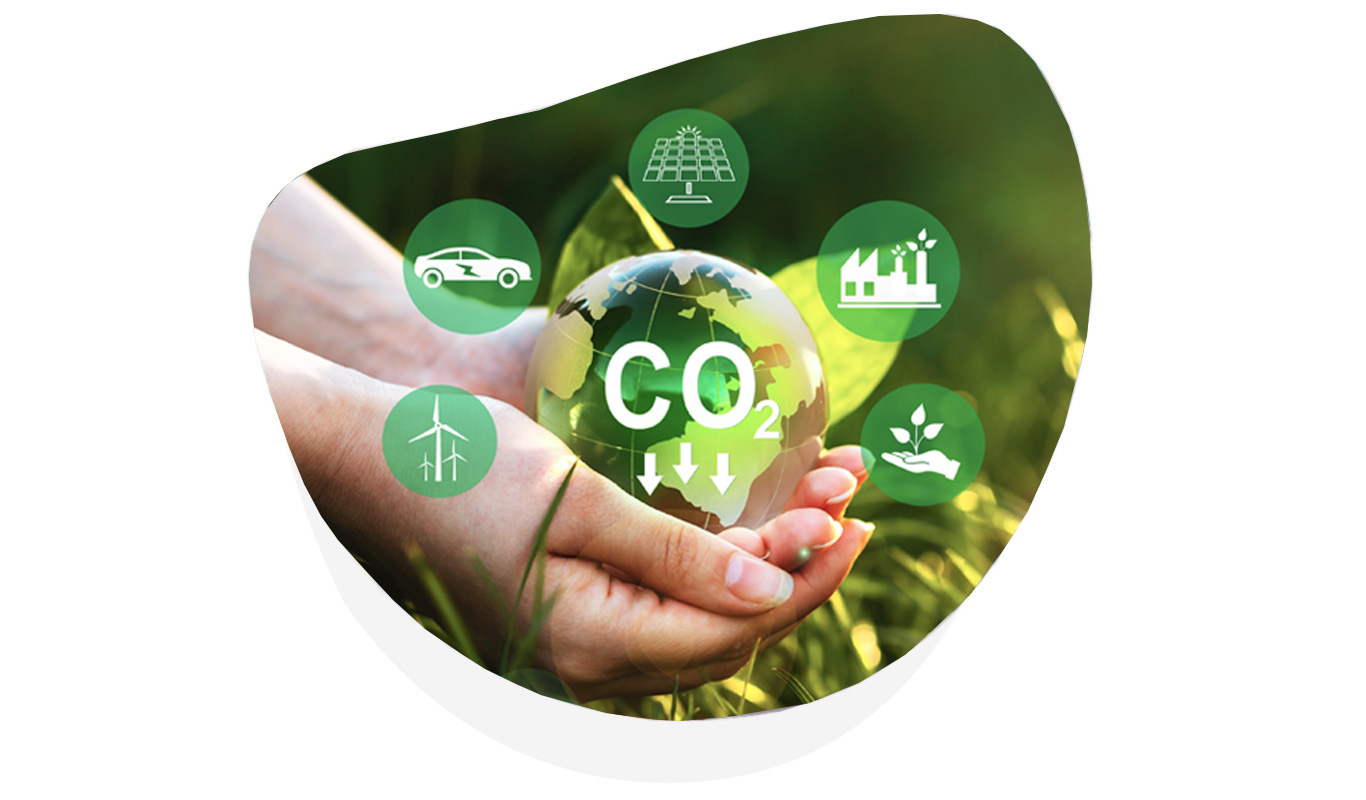 Linha de Crédito para a Descarbonização e a Economia Circular