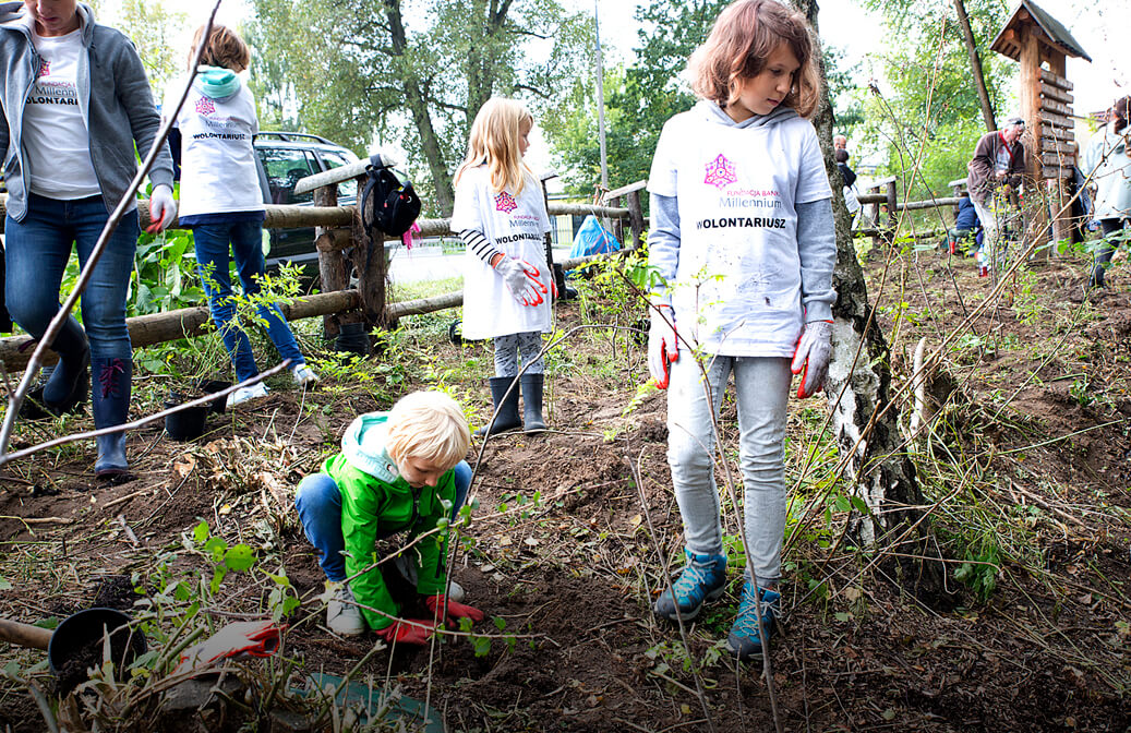 Plantação de árvores ao abrigo do voluntariado da Fundação Bank Millennium (Polónia)