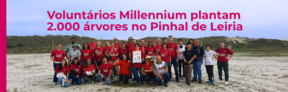 Voluntários Millennium plantam 2.000 árvores no Pinhal de Leiria