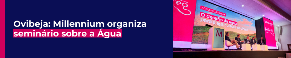 Ovibeja: Millennium organiza seminário sobre a Água